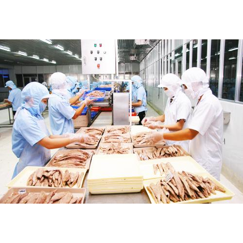 Công Ty Cổ Phần Thương Mại Kiên Giang